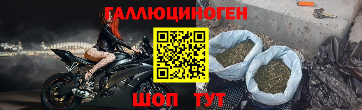 Псилоцибиновые грибы мухоморы Минеральные Воды